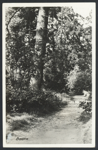 16753 Gezicht op een bospad in de omgeving van Baarn.